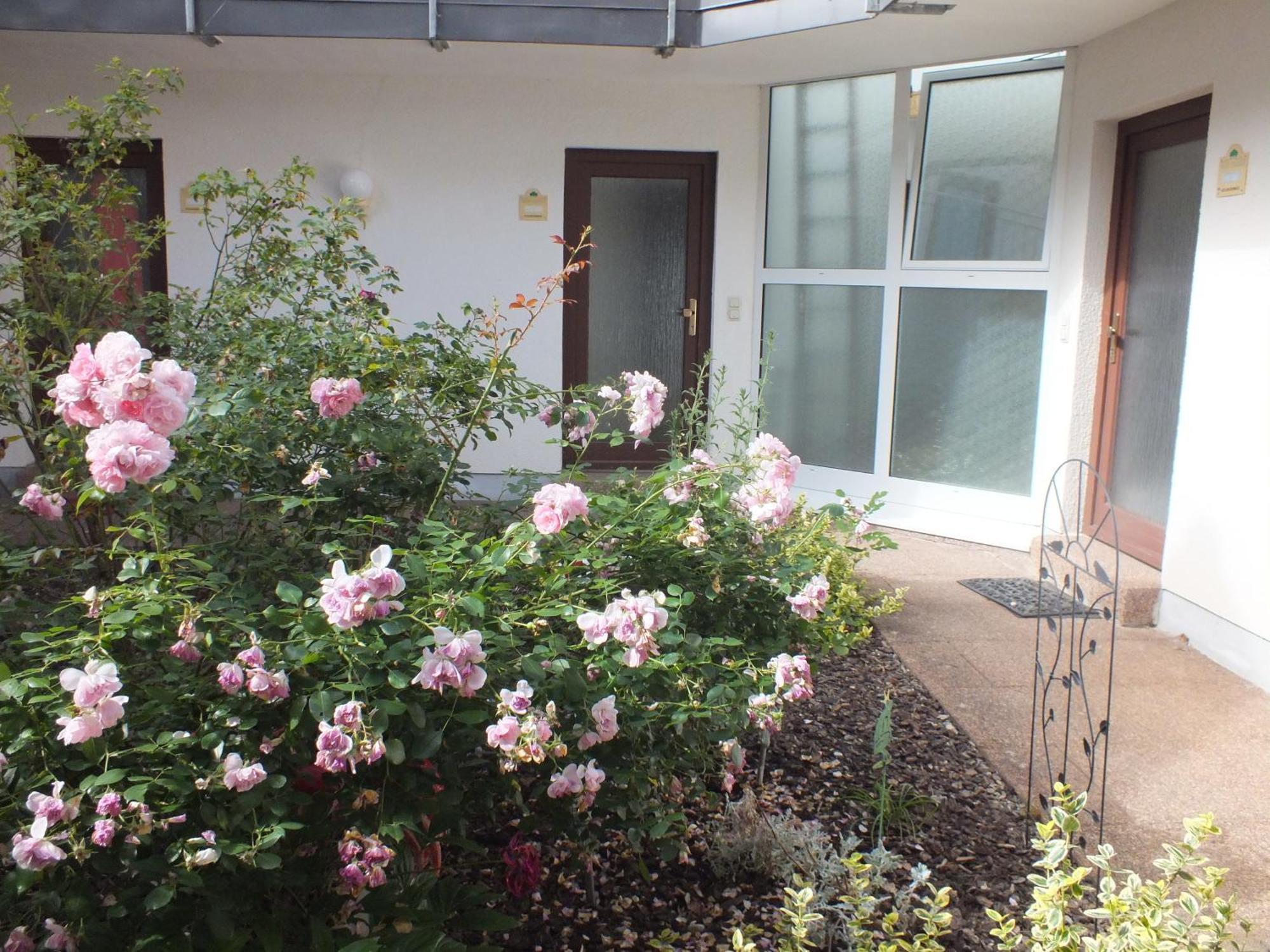 Ferienwohnung Freyas Walderlebnis Stromberg  Εξωτερικό φωτογραφία